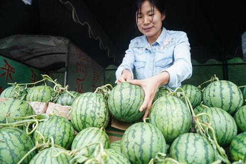 南京玄武吃瓜事件真相,揭秘背后真相与争议