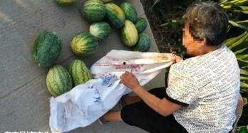 南宁近期吃瓜事件真相,揭秘背后真相与网络舆论的反思