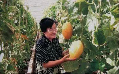 大型吃瓜事件网红叫什么