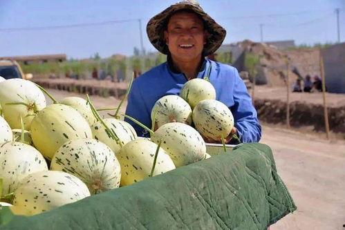 临武县吃瓜事件官方回应,真相大白，澄清误解