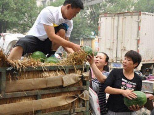 临武县吃瓜事件官方回应,真相大白，澄清误解