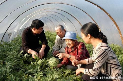 建湖二中事件吃瓜,揭秘校园风波背后的真相