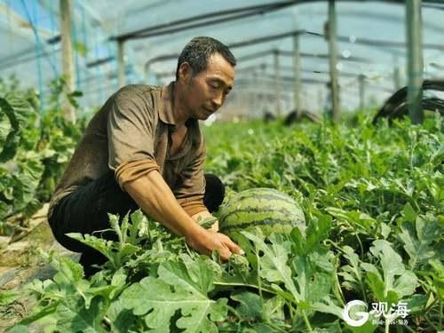 建湖二中事件吃瓜,揭秘校园风波背后的真相