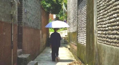 镇平县的吃瓜事件,一场引发全民热议的网络狂欢