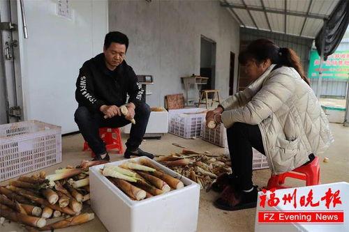 福州吃瓜学校事件真相,揭开校园谣言背后的真相