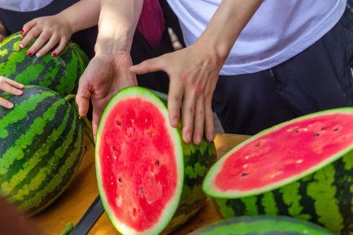莱州学校吃瓜事件,校园食品安全问题引发关注