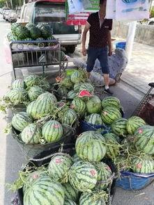 南京古茗事件吃瓜