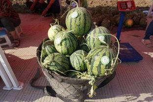 泗洪吃瓜群众事件,网络舆论下的社会现象解析