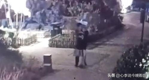 清苑吃瓜事件视频,一场引发热议的网络风波