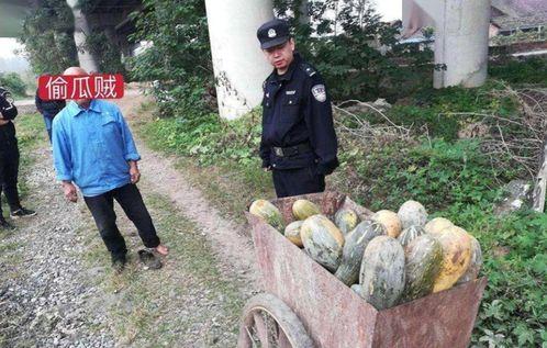 奉节老师吃瓜事件真相,真相揭秘，还原事件始末