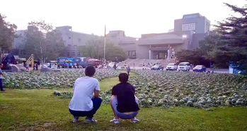 扬大附中事件吃瓜,揭秘校园风波背后的真相