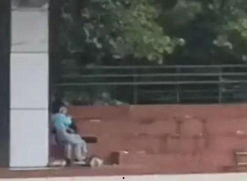 德州高师事件吃瓜视频,吃瓜群众视角下的校园风云录