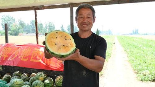 莱州最近吃瓜事件视频,一场网络热议背后的真相揭秘