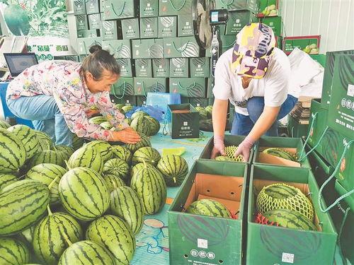 莱州最近吃瓜事件视频,一场网络热议背后的真相揭秘