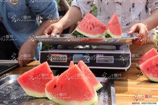 山东聊城最新吃瓜事件真相