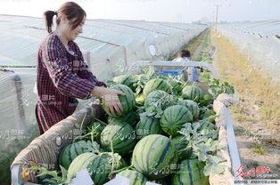 山东聊城最新吃瓜事件真相