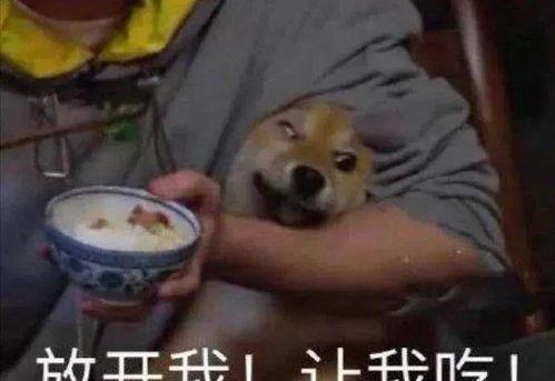 各种吃瓜事件合集,盘点年度热门吃瓜事件