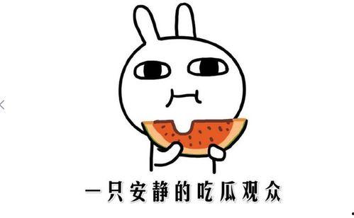 吃瓜事件一般在哪看,吃瓜群众聚集地，揭秘热门事件围观指南