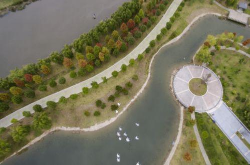 东洲公园吃瓜事件